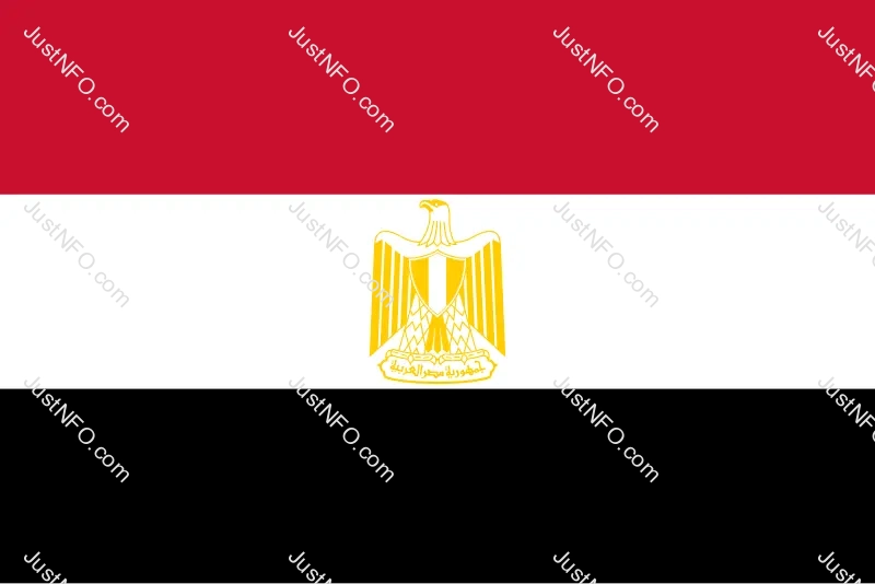 صورة علم مصر الرسمي المكوّن من ثلاثة ألوان أفقية: الأحمر يرمز للتضحيات، والأبيض للسلام، والأسود لنهاية الاستعمار، ويتوسطه نسر صلاح الدين الذهبي رمز القوة والسيادة